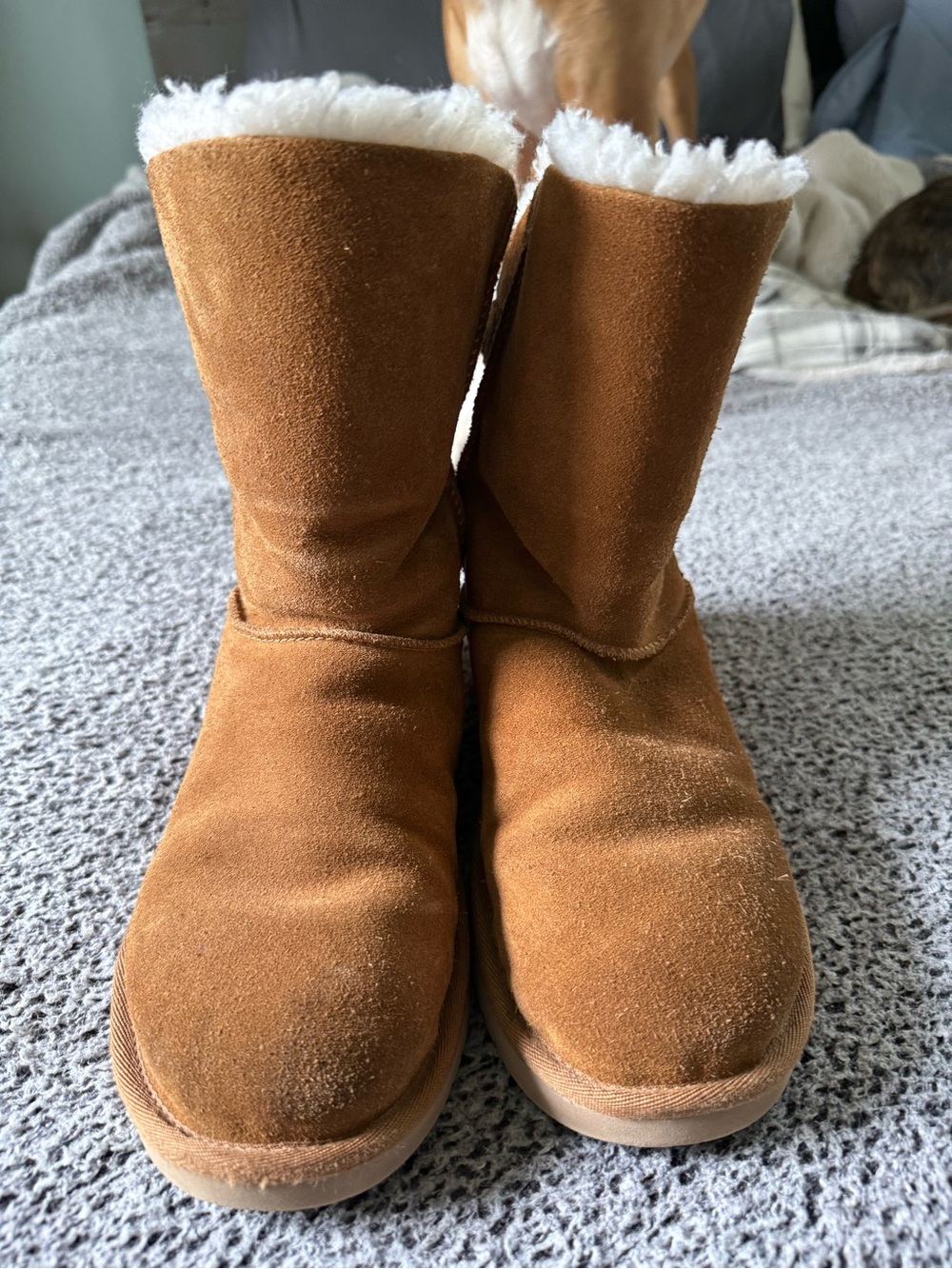 Ugg- Chestnut Suede Shearling-Lined Boots